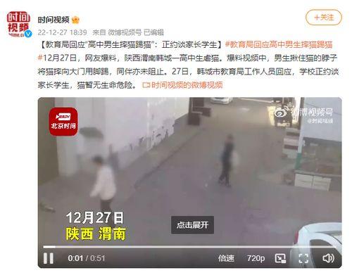 陕西爆料视频大全,揭秘热点事件背后的真相